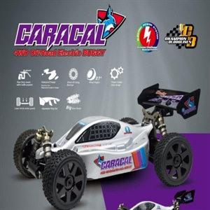 [00806-001] CARACAL MY1e 1:8 EP Off road Buggy ARR Kit 90%조립 완료 (7075 메인샤시 ) 전자장비 별매