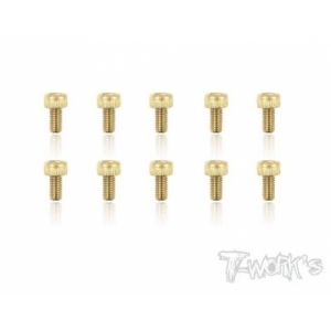 GSS-306H 4x12mm Gold Plated Hex. Countersink Screws（8pcs.）