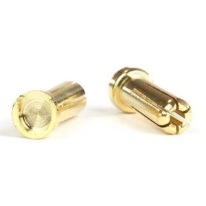 Gold Battery Bullets (2) | Low Profile | 5mm
