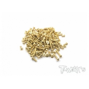 (#GSS-D819) Gold Plated Steel Screw Set 162pcs.( For HB Racing D819 )
